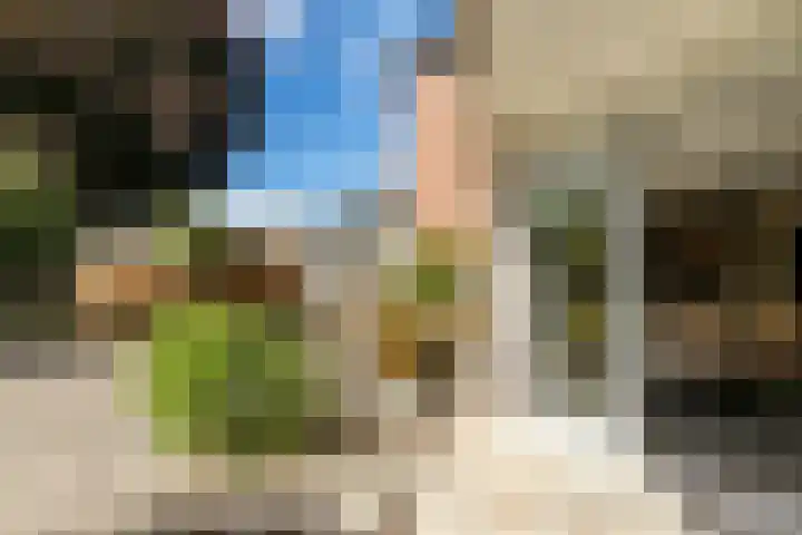 De Savornin Lohmanlaan 4 Vlijmen thumbnail 38