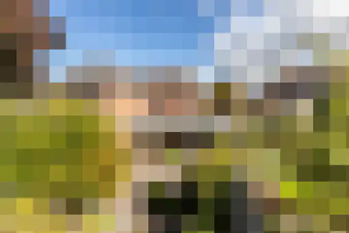 De Savornin Lohmanlaan 4 Vlijmen thumbnail 39
