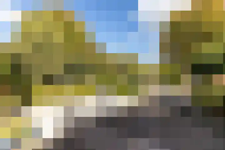 De Savornin Lohmanlaan 4 Vlijmen thumbnail 41