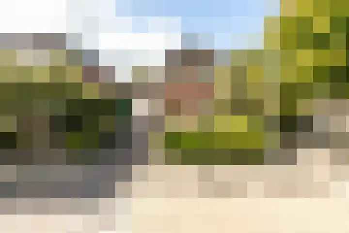 De Savornin Lohmanlaan 4 Vlijmen thumbnail 42