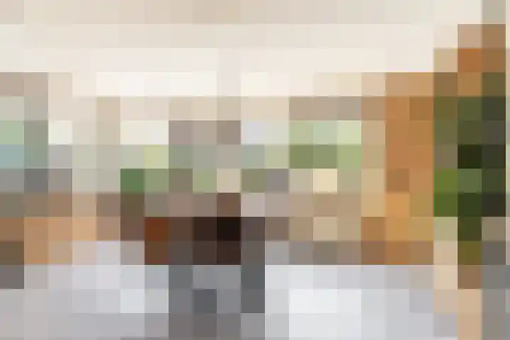 De Savornin Lohmanlaan 4 Vlijmen thumbnail 7