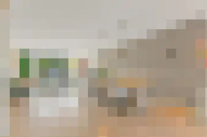 De Savornin Lohmanlaan 40 A in Rotterdam