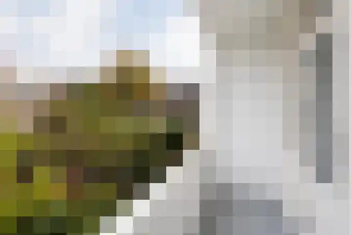 De Savornin Lohmanlaan 40 A Rotterdam thumbnail 13