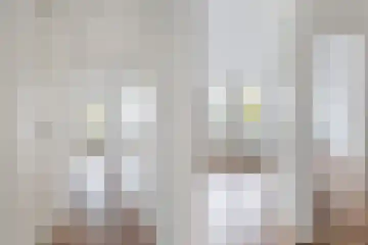 De Savornin Lohmanlaan 40 A Rotterdam thumbnail 8