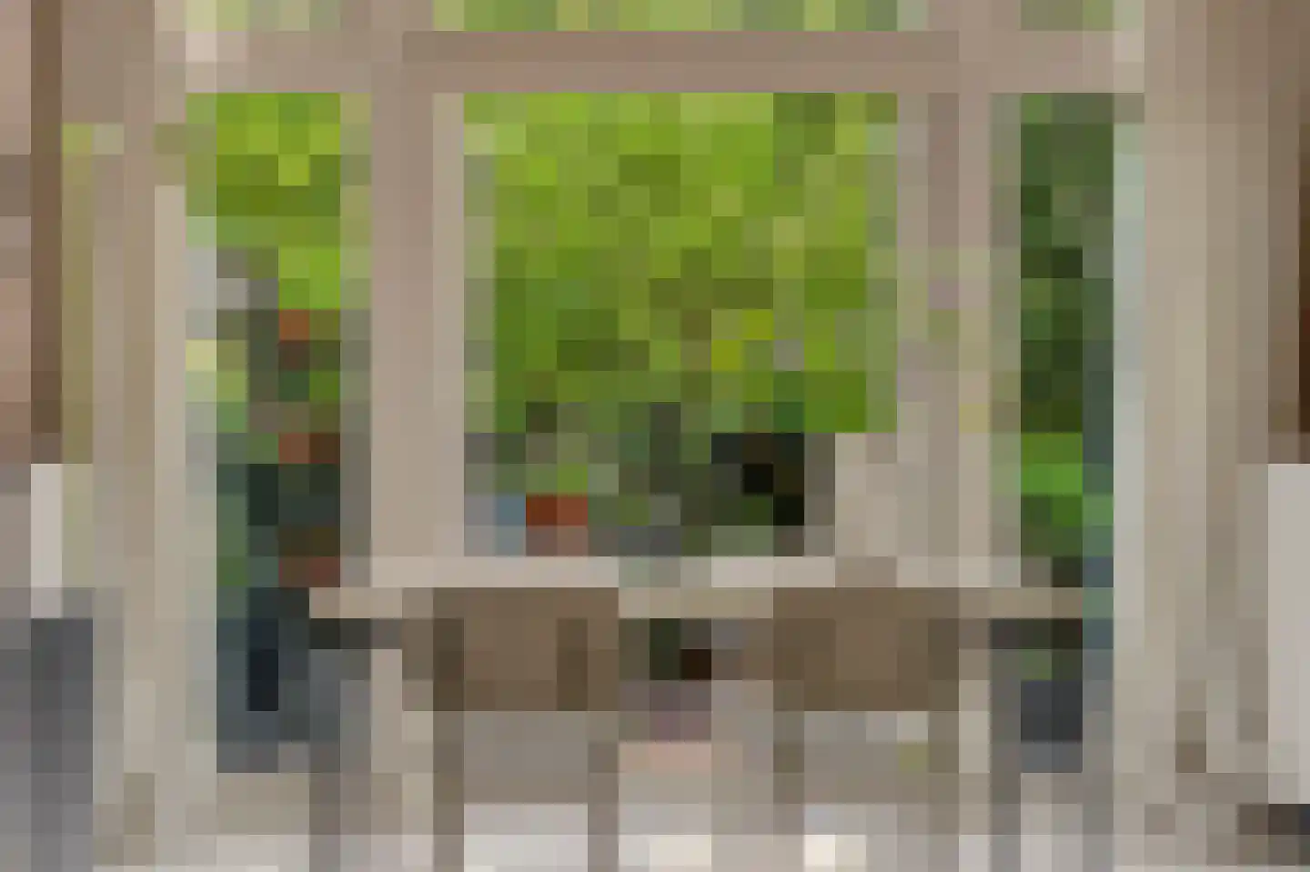 De Savornin Lohmanlaan 44 A Rotterdam thumbnail 13