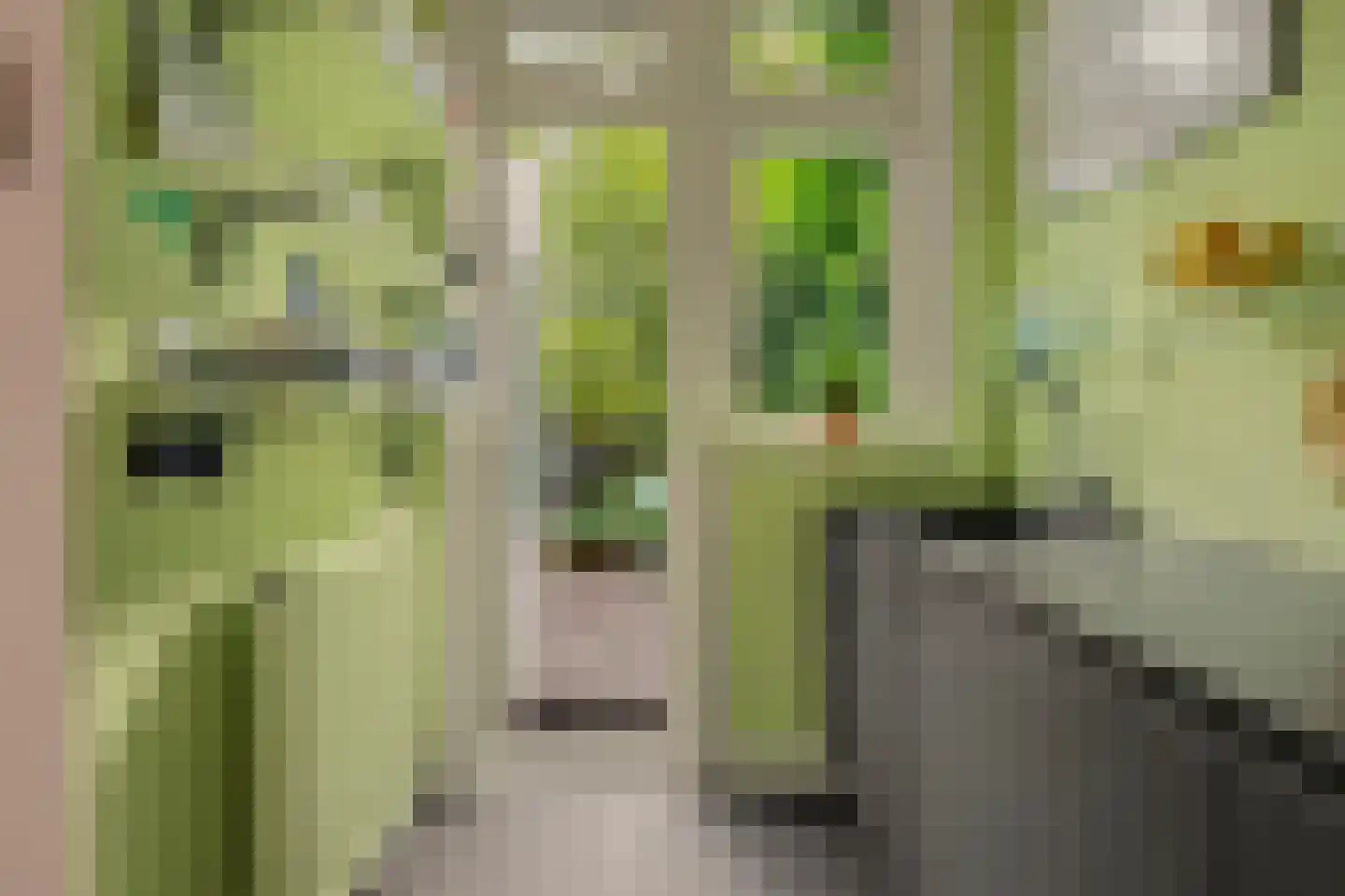 De Savornin Lohmanlaan 44 A Rotterdam thumbnail 16