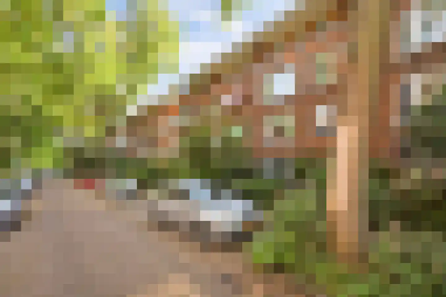 De Savornin Lohmanlaan 44 A Rotterdam thumbnail 8