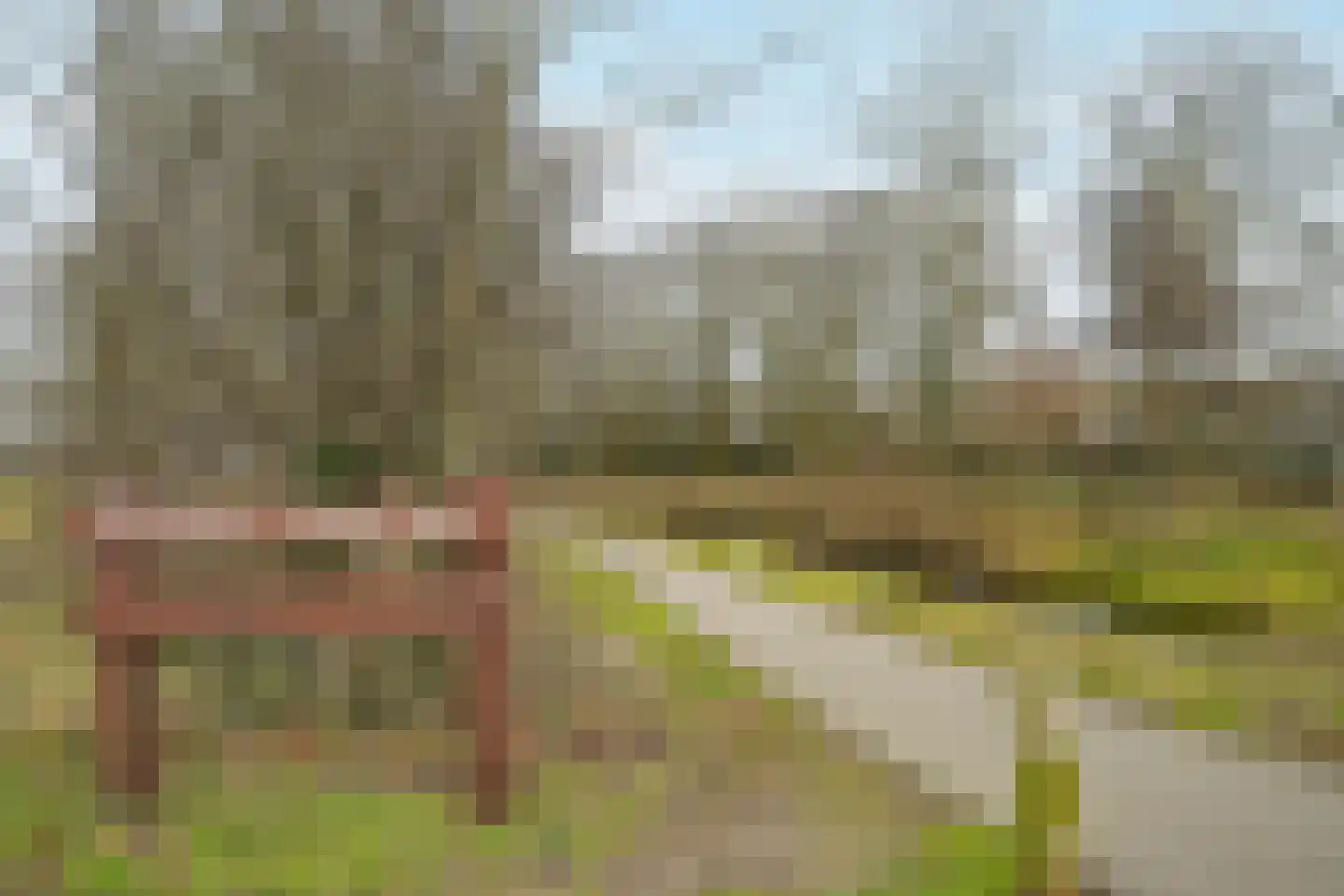 De Savornin Lohmanlaan 465 Den Haag thumbnail 38