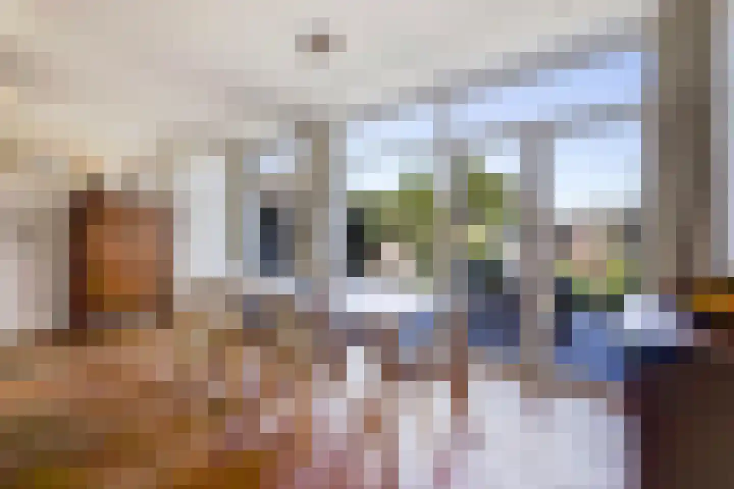 De Savornin Lohmanlaan 471 Den Haag thumbnail 24