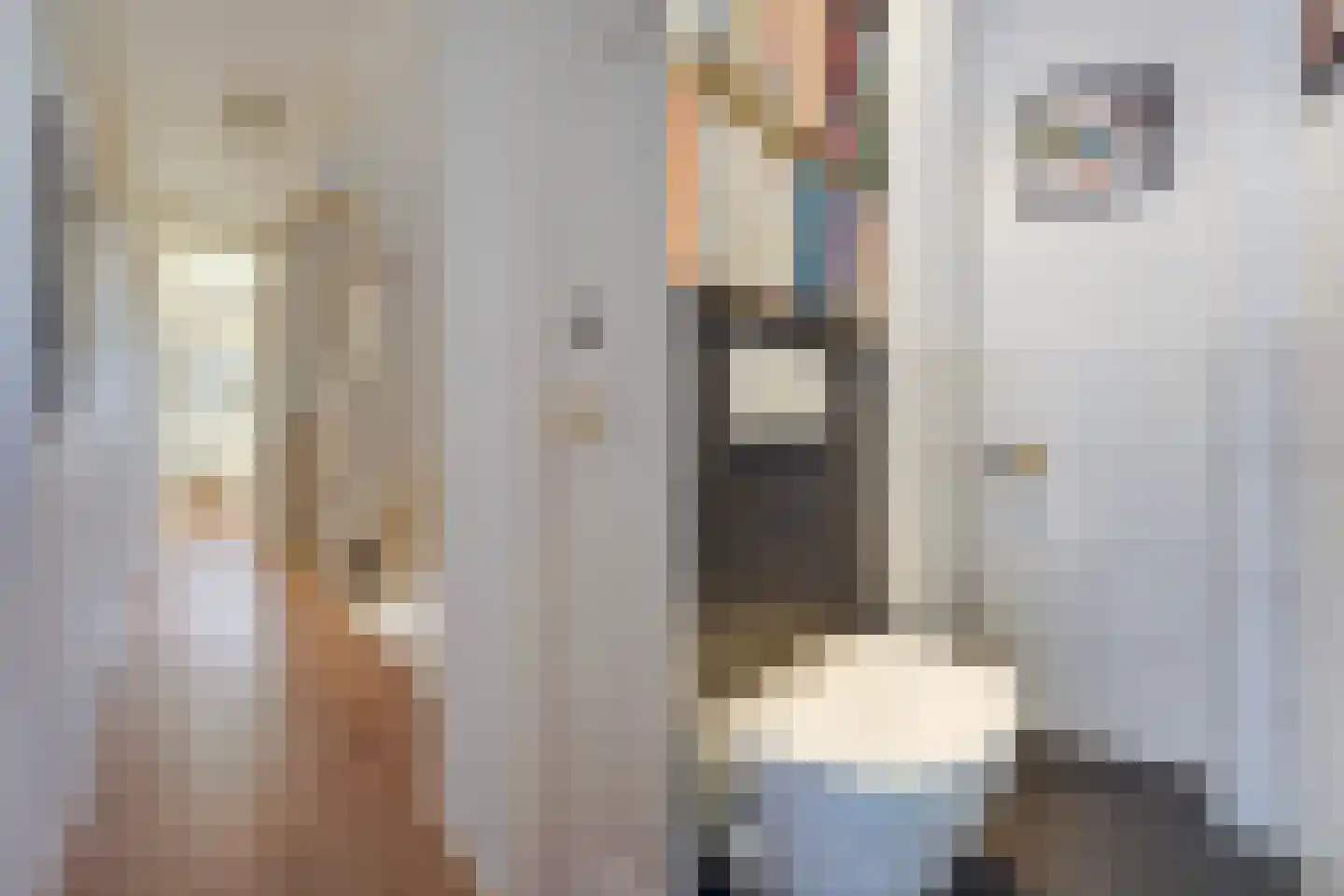 De Savornin Lohmanlaan 471 Den Haag thumbnail 34