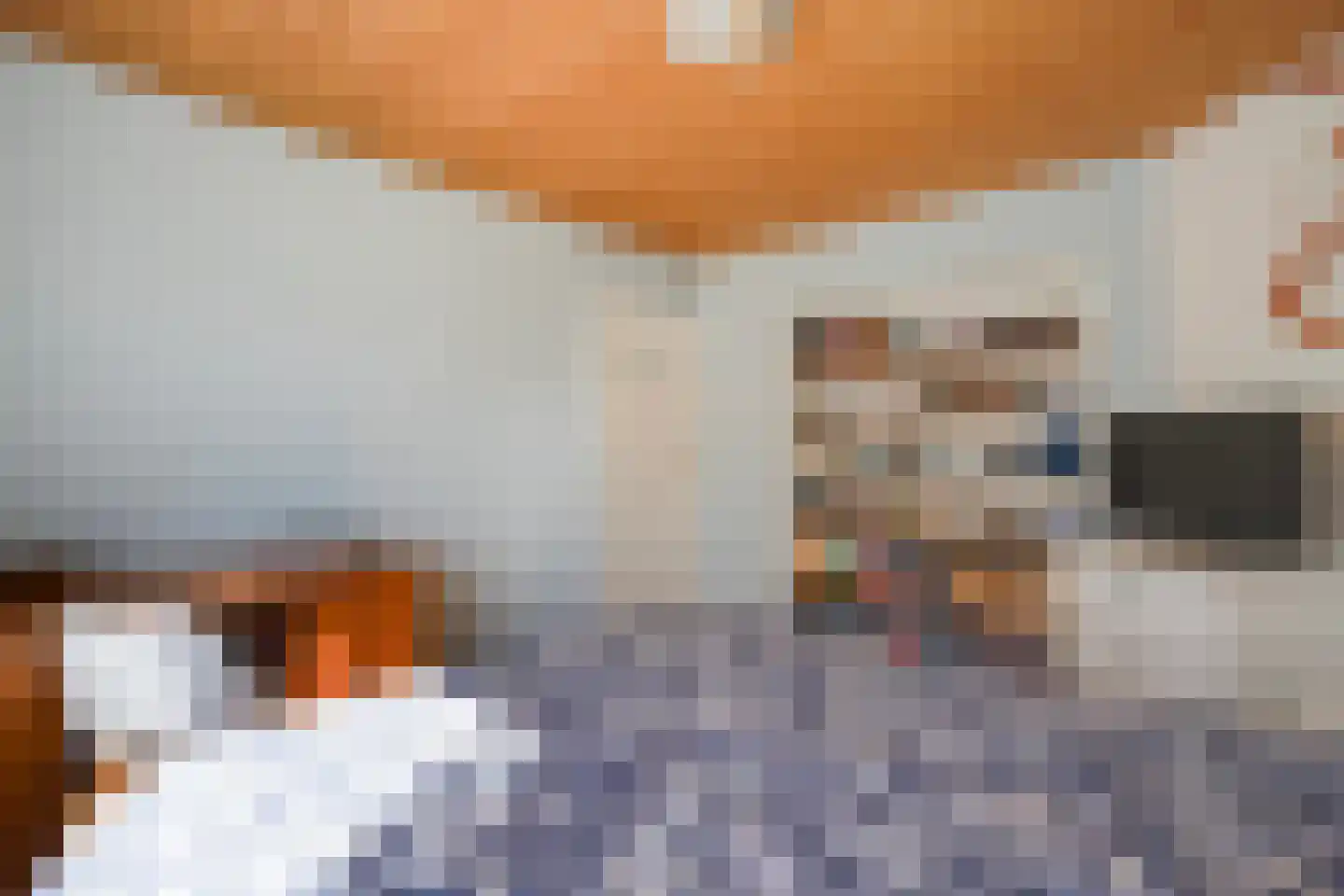 De Savornin Lohmanlaan 471 Den Haag thumbnail 45