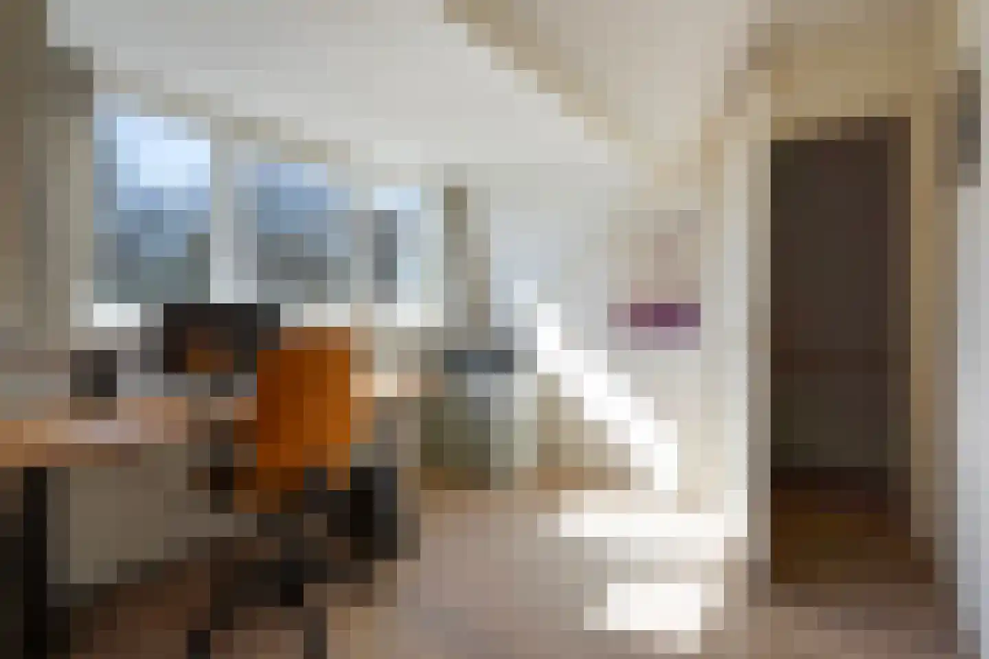 De Savornin Lohmanlaan 471 Den Haag thumbnail 53