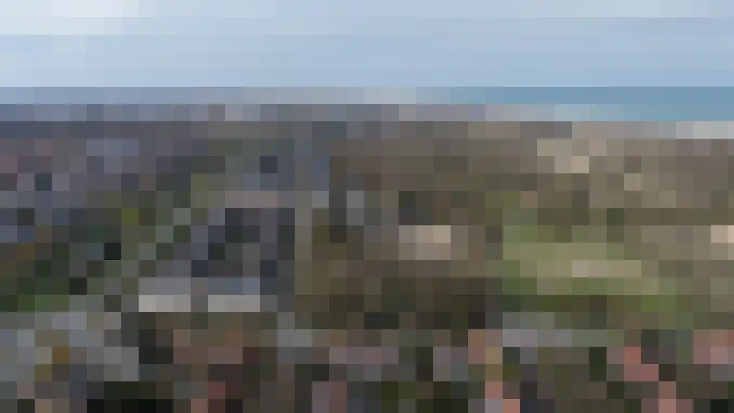 De Savornin Lohmanlaan 471 Den Haag thumbnail 63