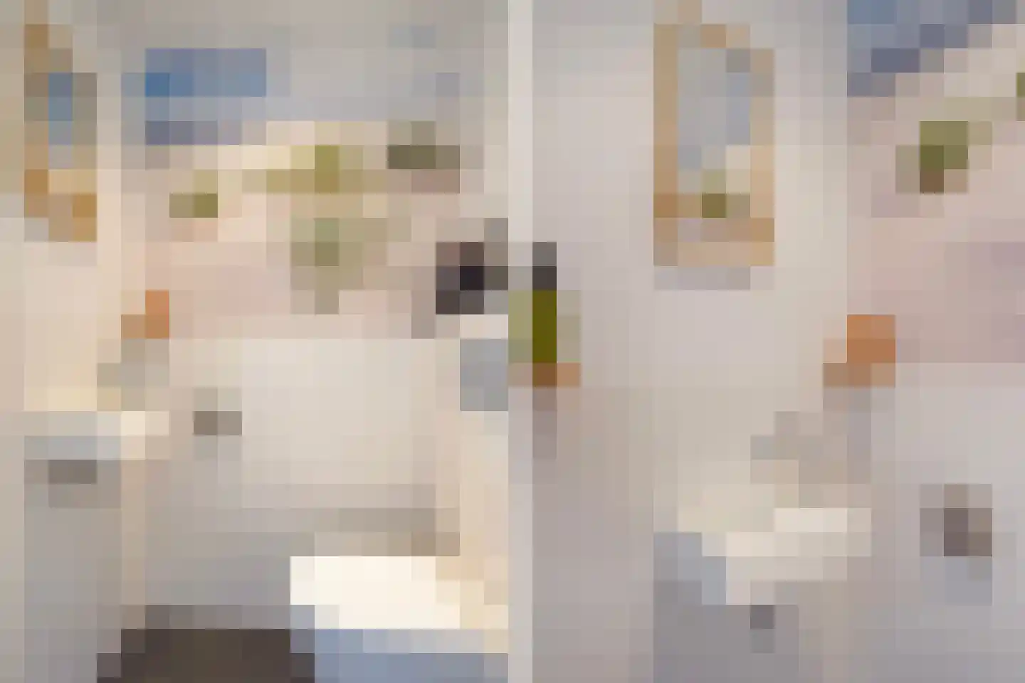 De Savornin Lohmanlaan 471 Den Haag thumbnail 8