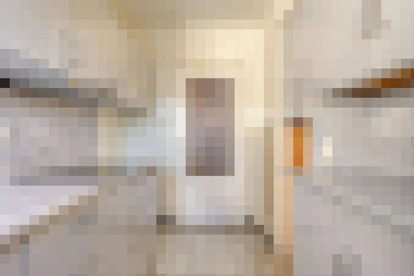 de Savornin Lohmanlaan 5 Axel thumbnail 12