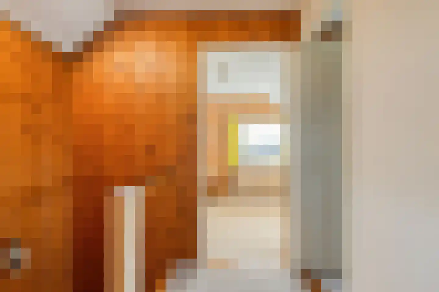 de Savornin Lohmanlaan 5 Axel thumbnail 20