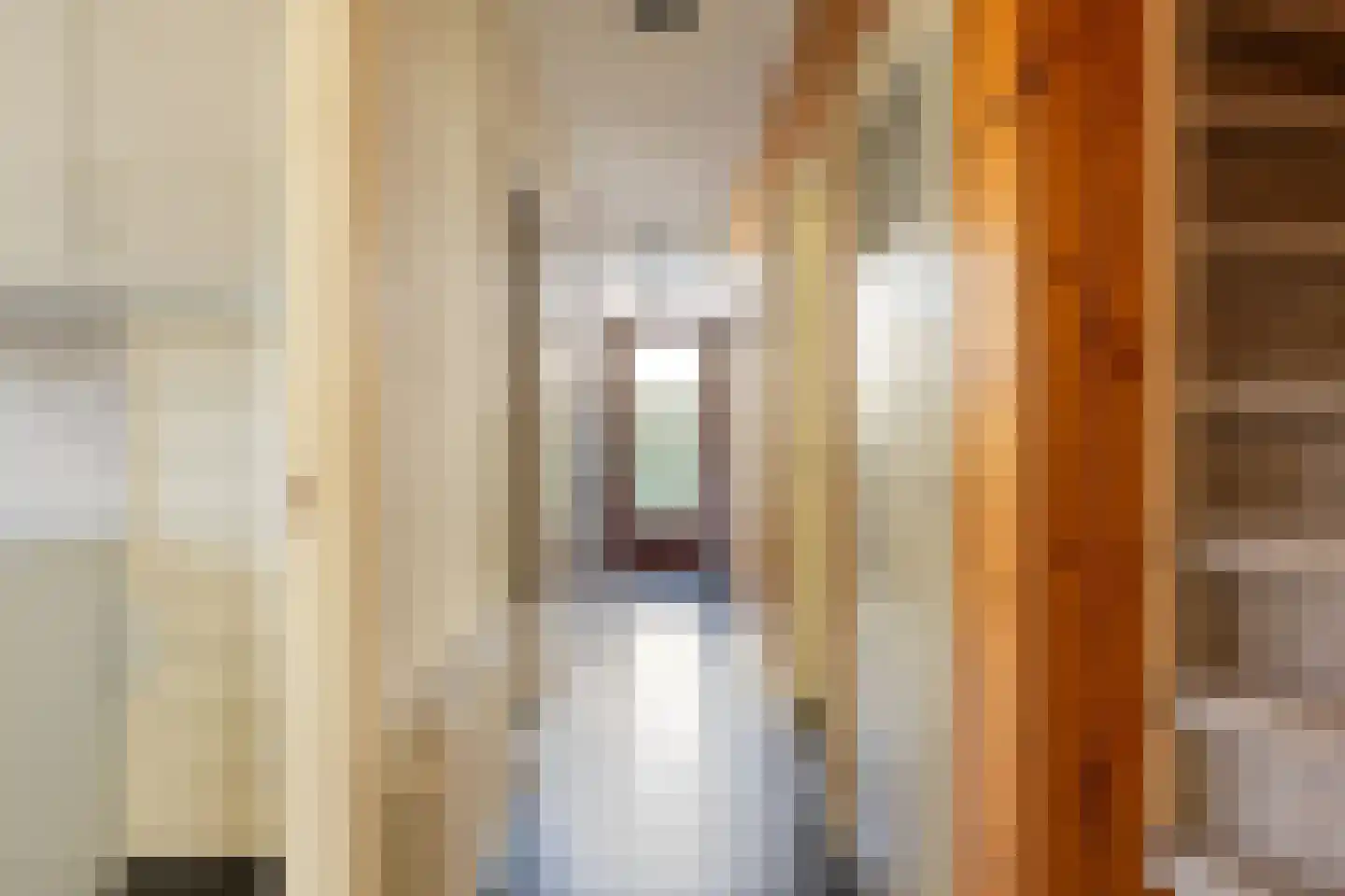 de Savornin Lohmanlaan 5 Axel thumbnail 6