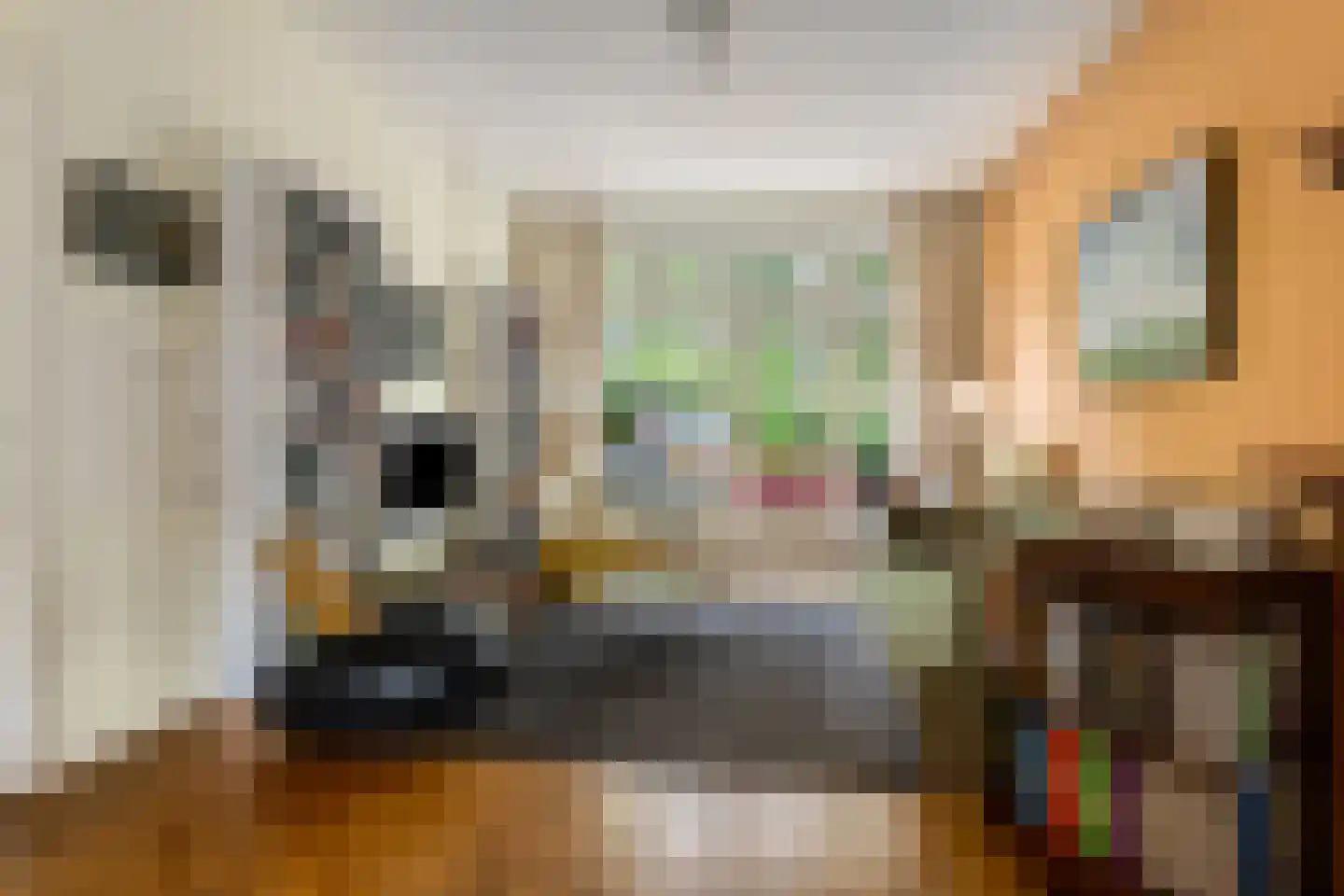 De Savornin Lohmanlaan 50 Groningen thumbnail 11