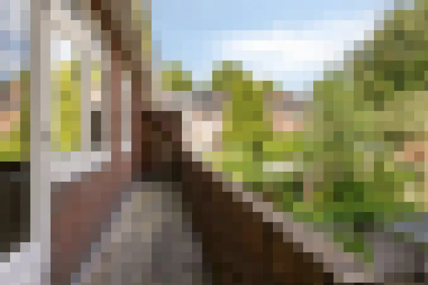 De Savornin Lohmanlaan 50 Groningen thumbnail 17