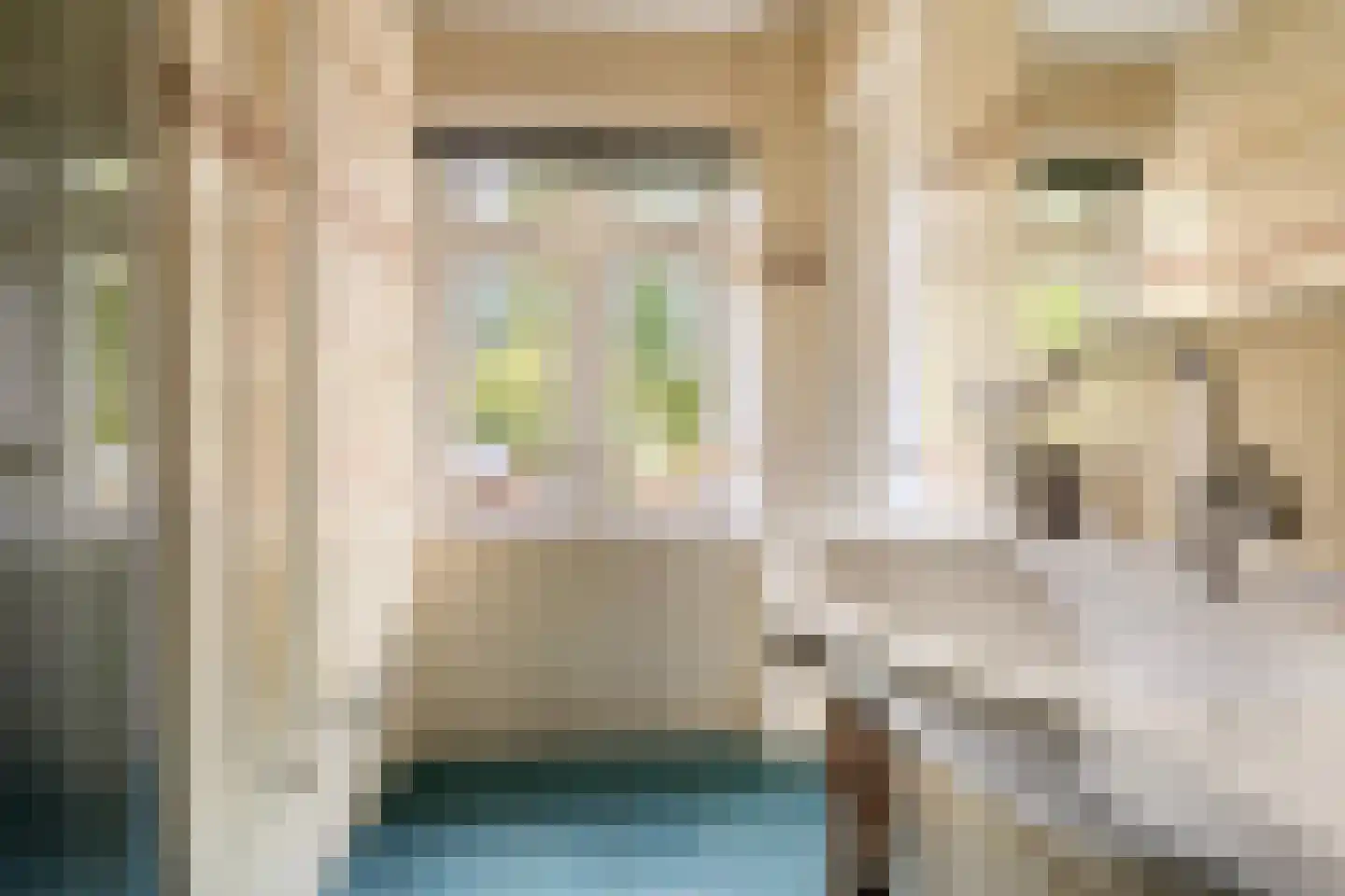 De Savornin Lohmanlaan 50 Groningen thumbnail 19