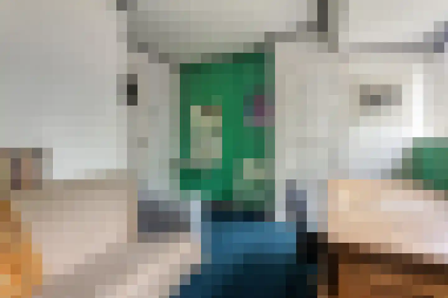 De Savornin Lohmanlaan 50 Groningen thumbnail 28
