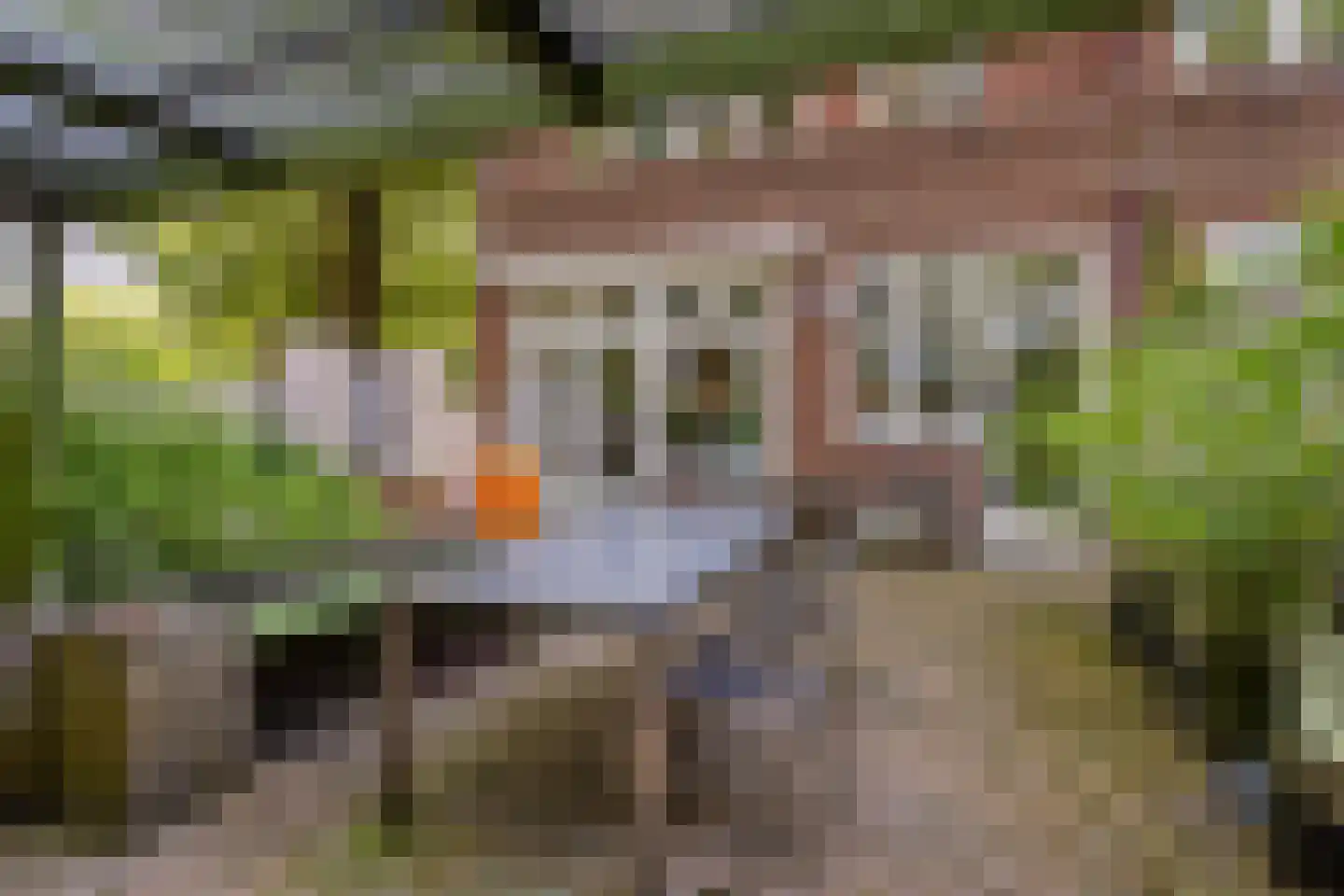 De Savornin Lohmanlaan 50 Groningen thumbnail 31