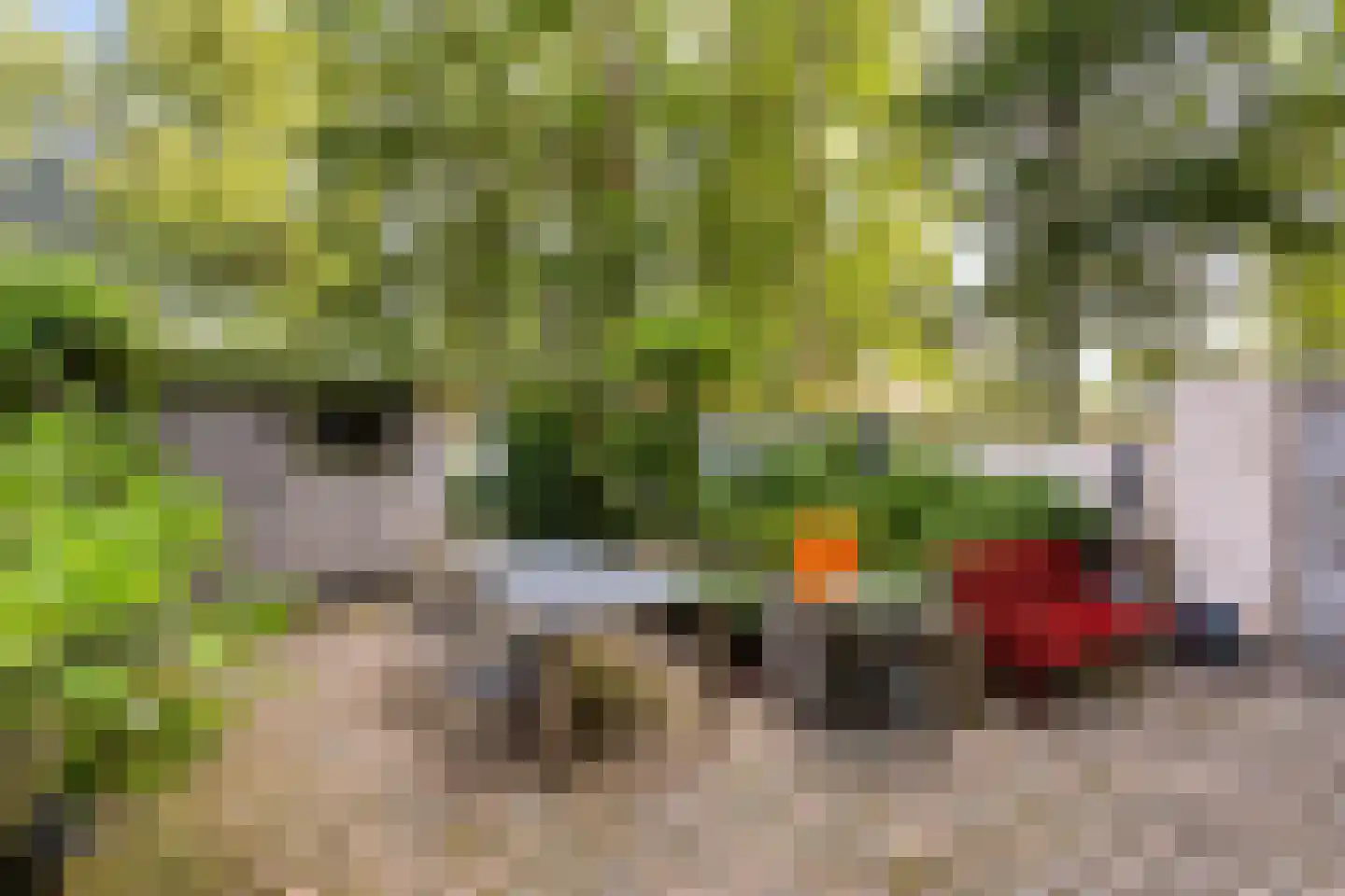 De Savornin Lohmanlaan 50 Groningen thumbnail 32