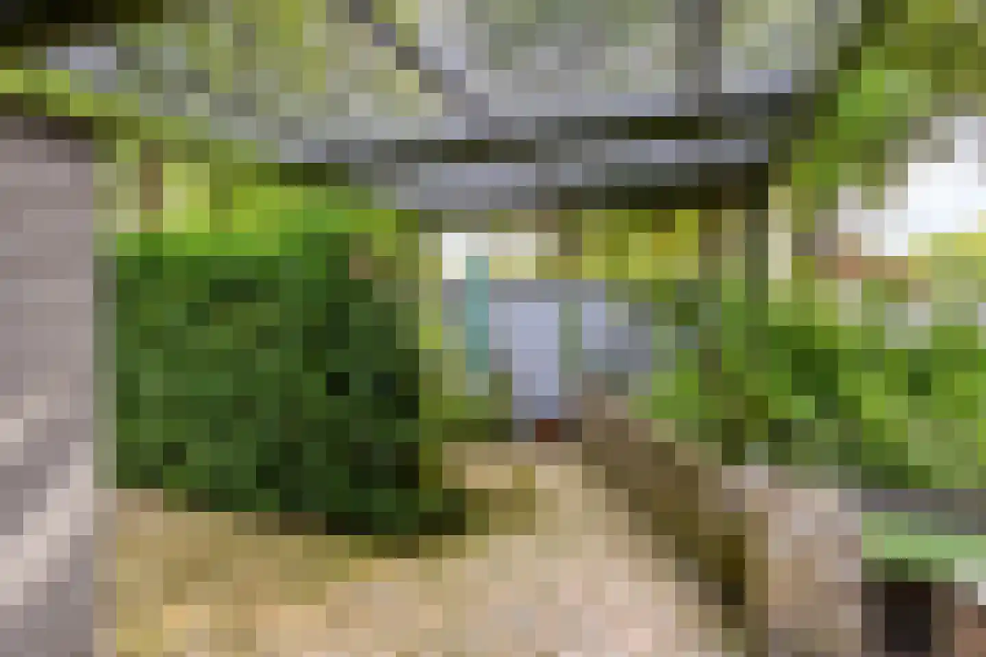 De Savornin Lohmanlaan 50 Groningen thumbnail 33