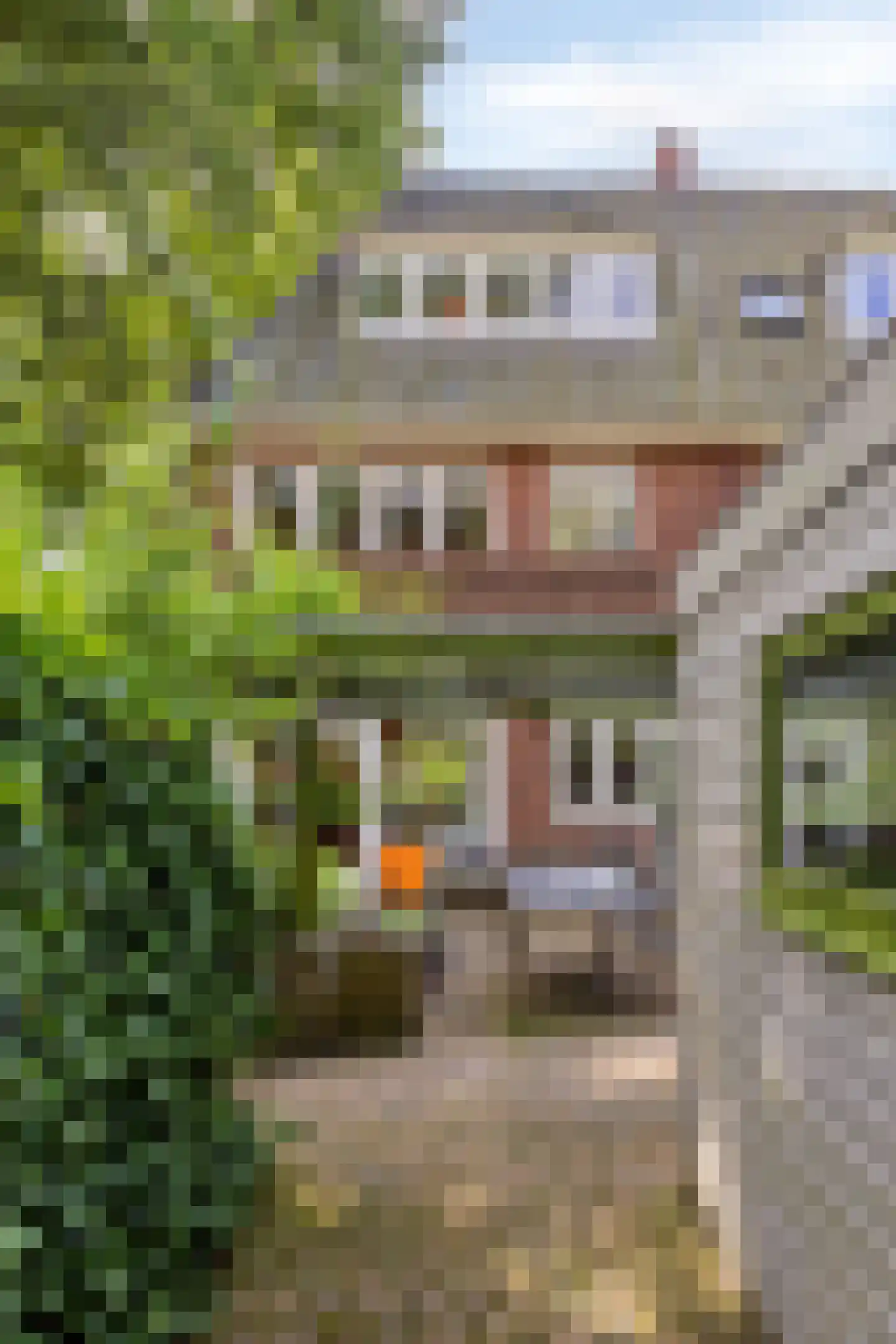 De Savornin Lohmanlaan 50 Groningen thumbnail 34
