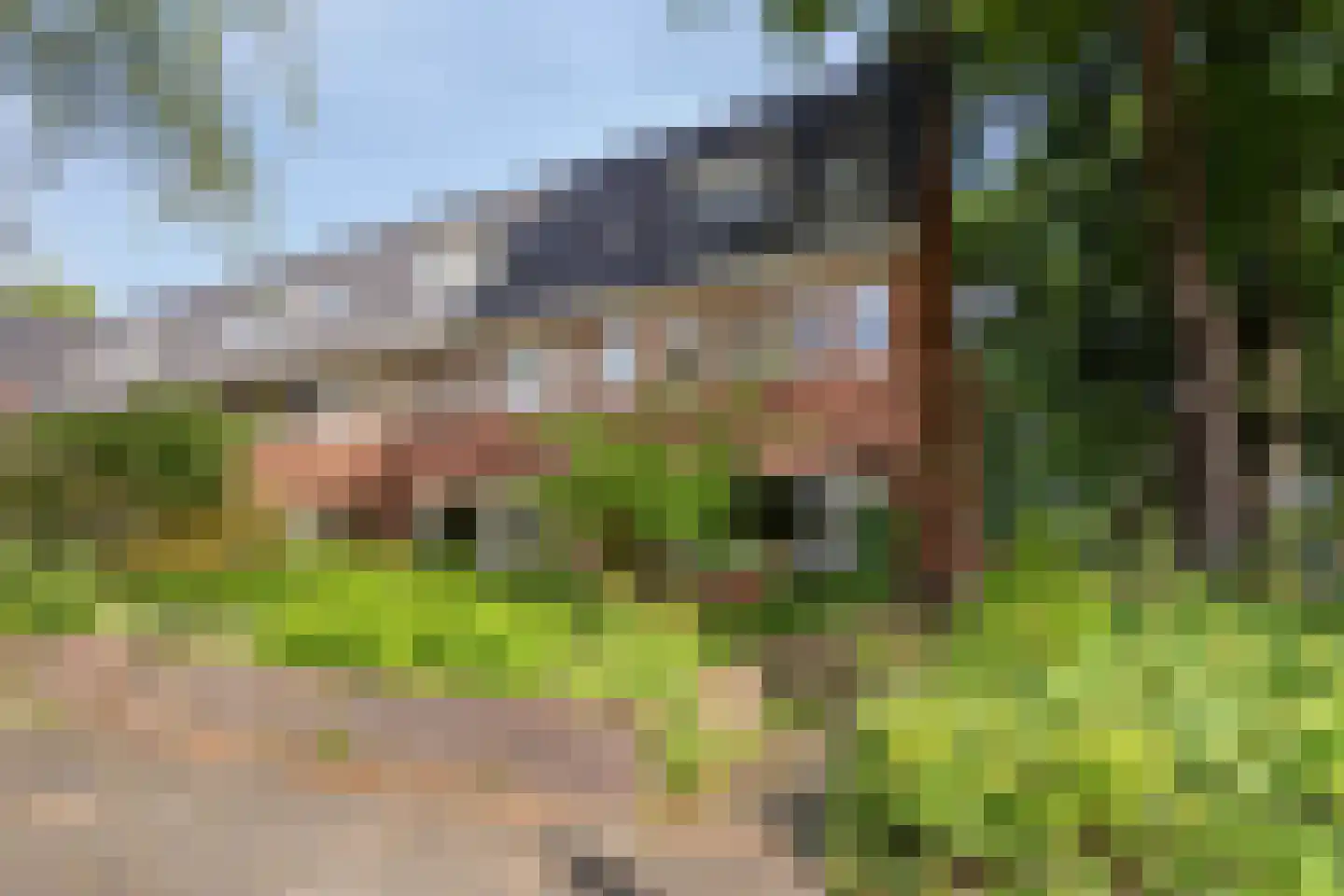 De Savornin Lohmanlaan 50 Groningen thumbnail 4