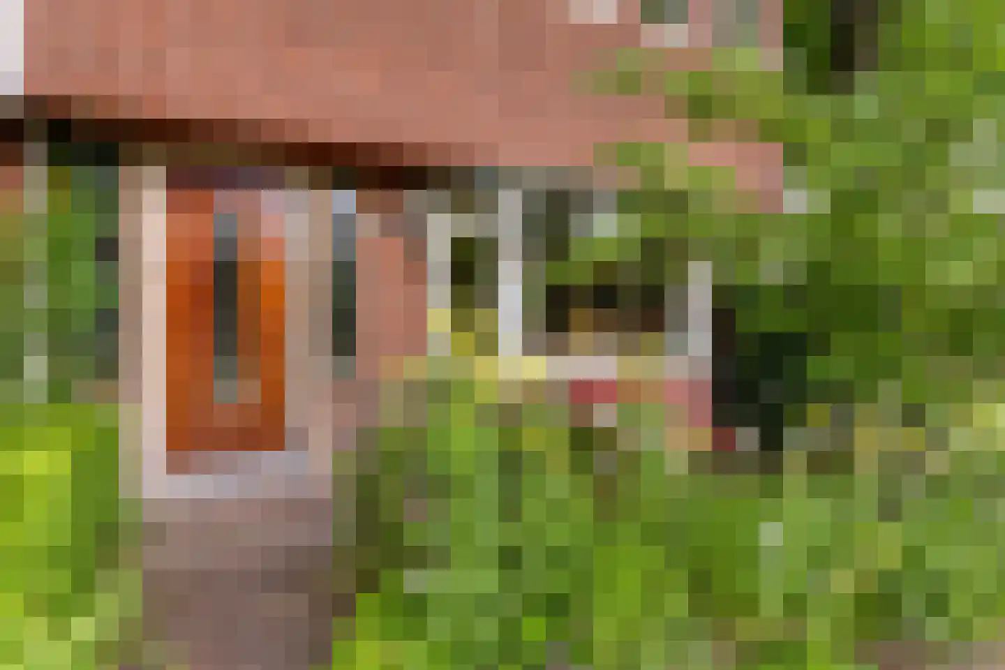 De Savornin Lohmanlaan 50 Groningen thumbnail 5