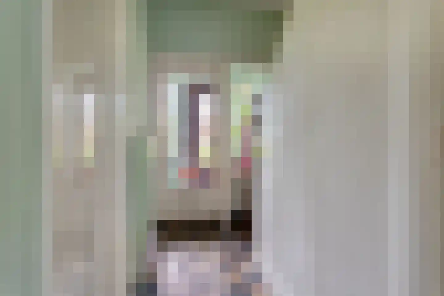 De Savornin Lohmanlaan 50 Groningen thumbnail 5