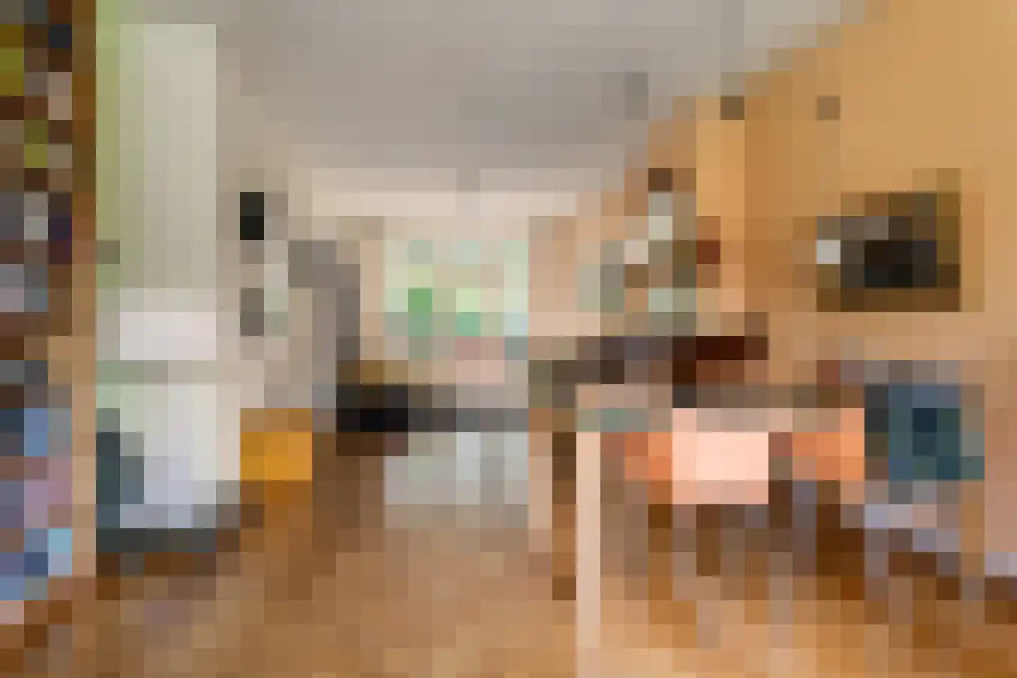 De Savornin Lohmanlaan 50 Groningen thumbnail 7