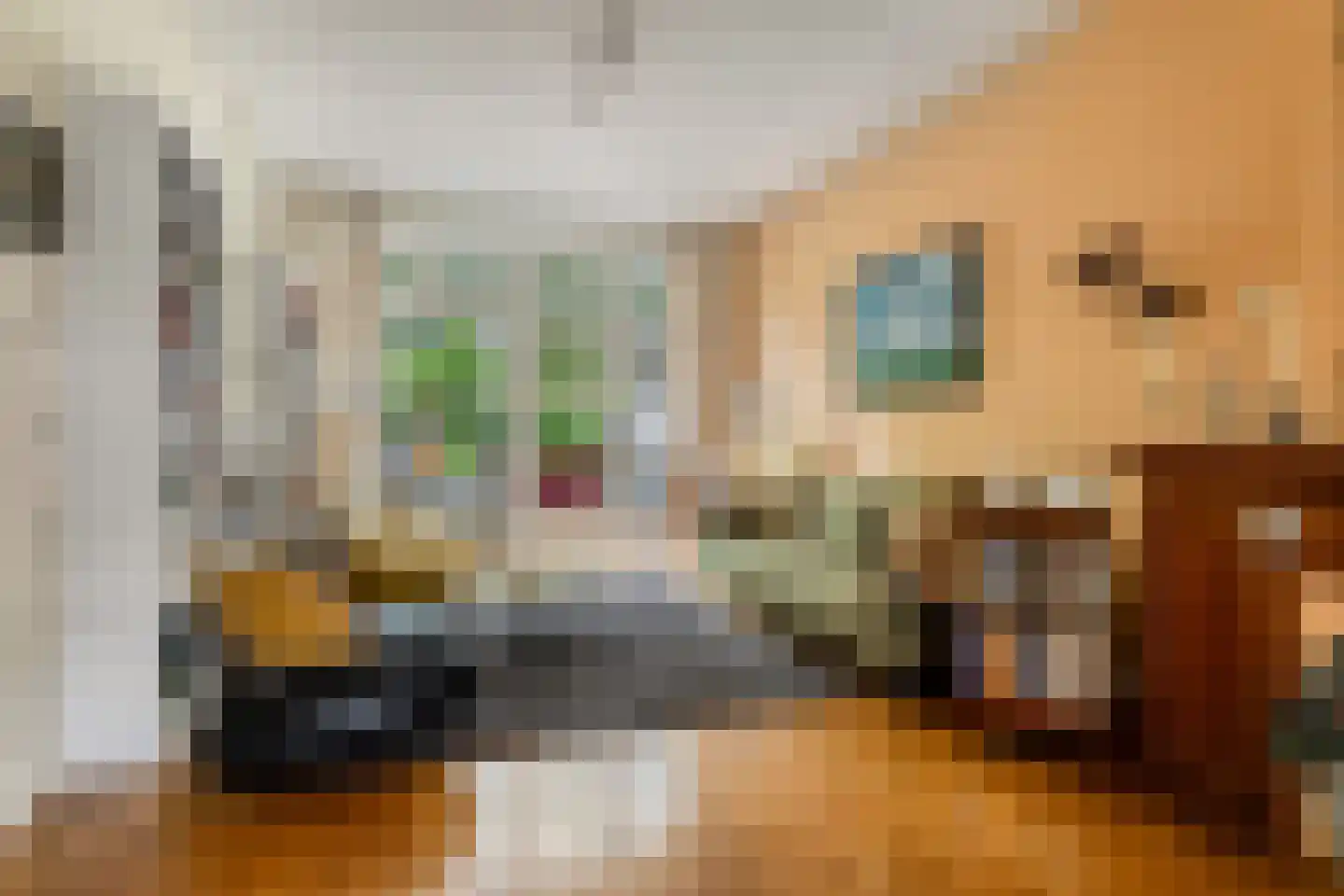 De Savornin Lohmanlaan 50 Groningen thumbnail 8