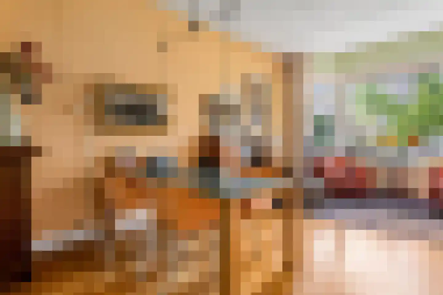 De Savornin Lohmanlaan 50 Groningen thumbnail 9