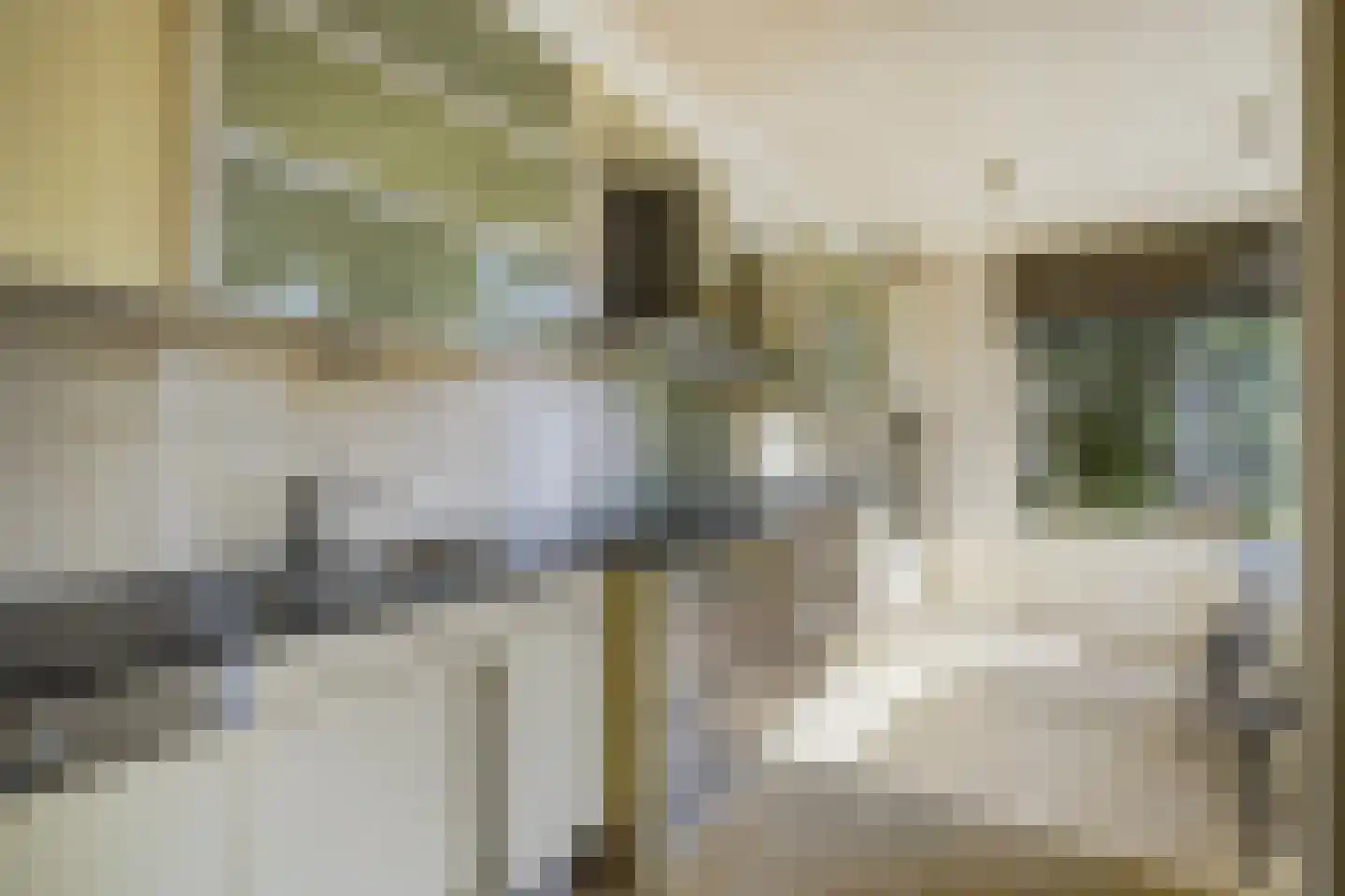 De Savornin Lohmanlaan 509 Den Haag thumbnail 18