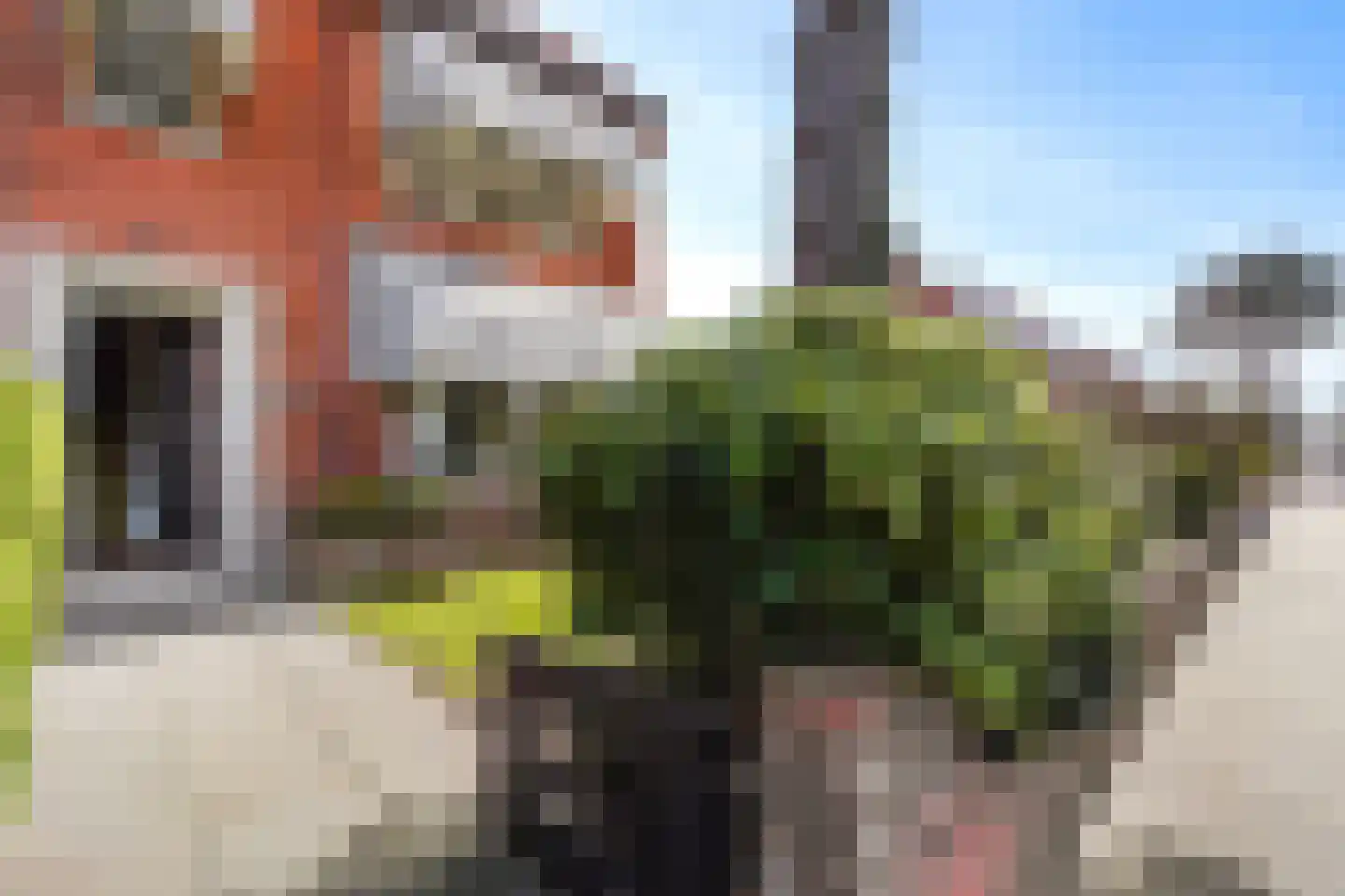 De Savornin Lohmanlaan 509 Den Haag thumbnail 64