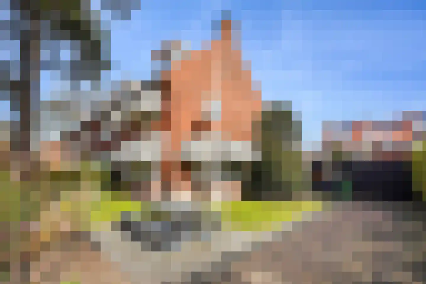 De Savornin Lohmanlaan 509 Den Haag thumbnail 65