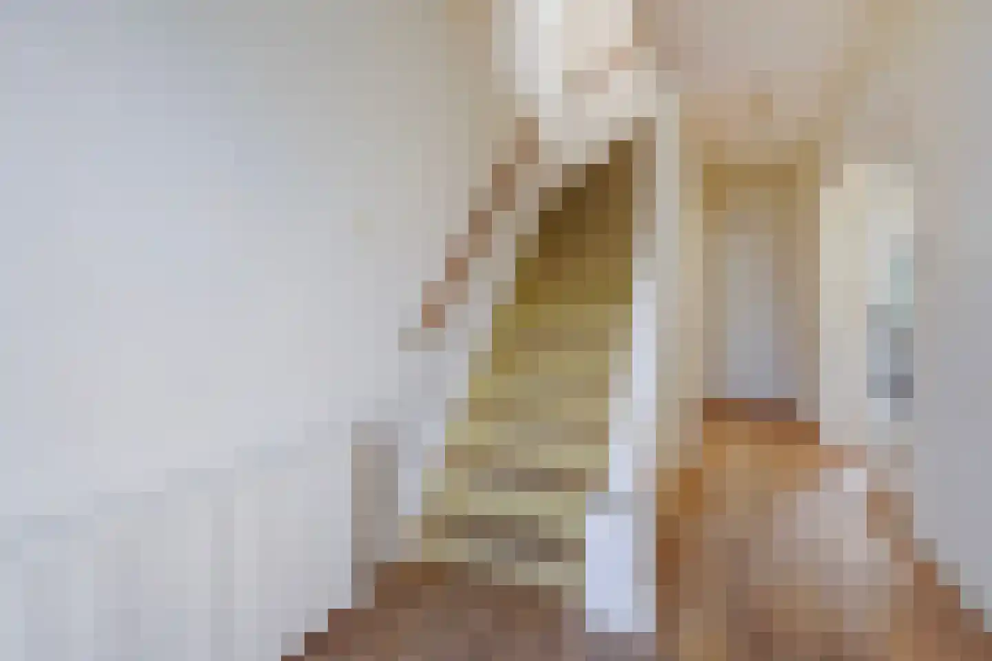 De Savornin Lohmanlaan 509 Den Haag thumbnail 7