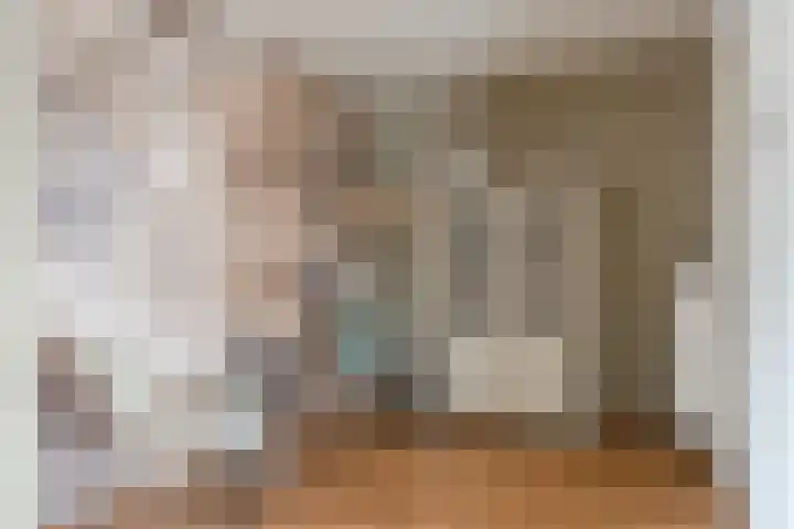 De Savornin Lohmanlaan 51 Huizen thumbnail 10