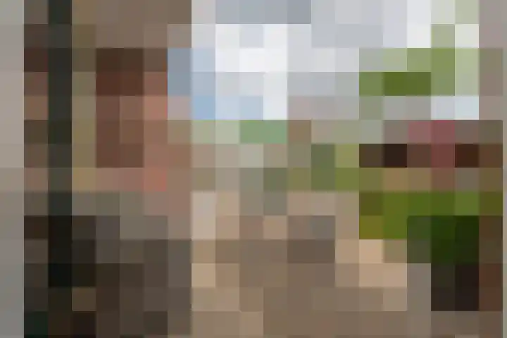 De Savornin Lohmanlaan 51 Huizen thumbnail 15