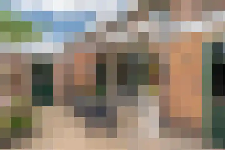 De Savornin Lohmanlaan 51 Huizen thumbnail 17