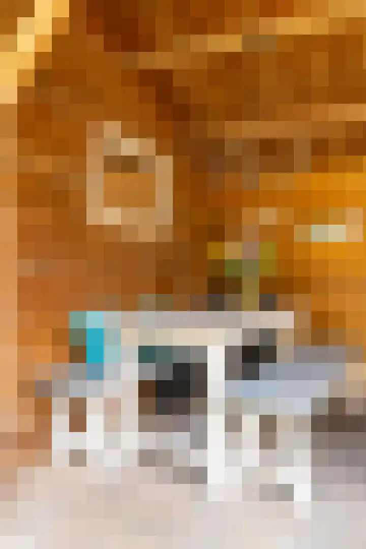 De Savornin Lohmanlaan 51 Huizen thumbnail 22