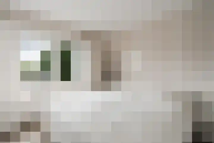 De Savornin Lohmanlaan 51 Huizen thumbnail 31