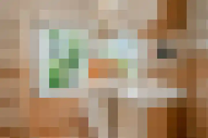 De Savornin Lohmanlaan 51 Huizen thumbnail 33