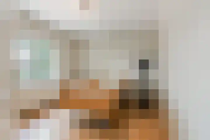 De Savornin Lohmanlaan 51 Huizen thumbnail 36