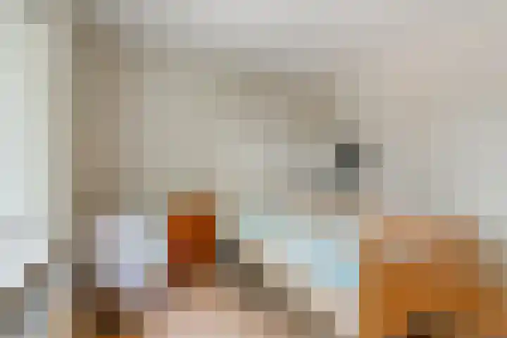 De Savornin Lohmanlaan 51 Huizen thumbnail 37