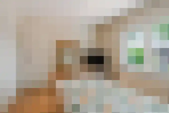 De Savornin Lohmanlaan 51 Huizen thumbnail 38