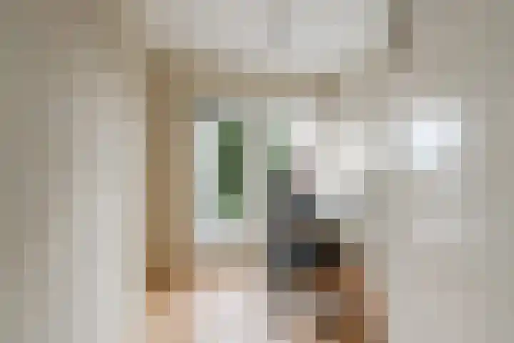 De Savornin Lohmanlaan 51 Huizen thumbnail 39