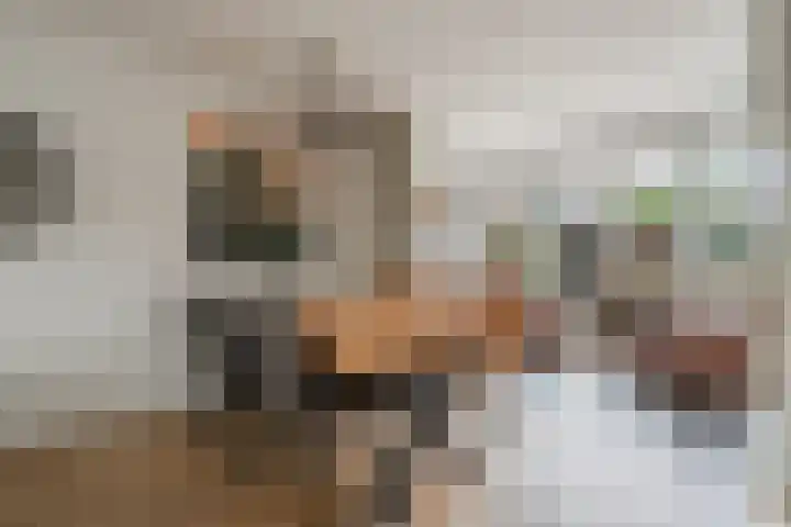 De Savornin Lohmanlaan 51 Huizen thumbnail 4